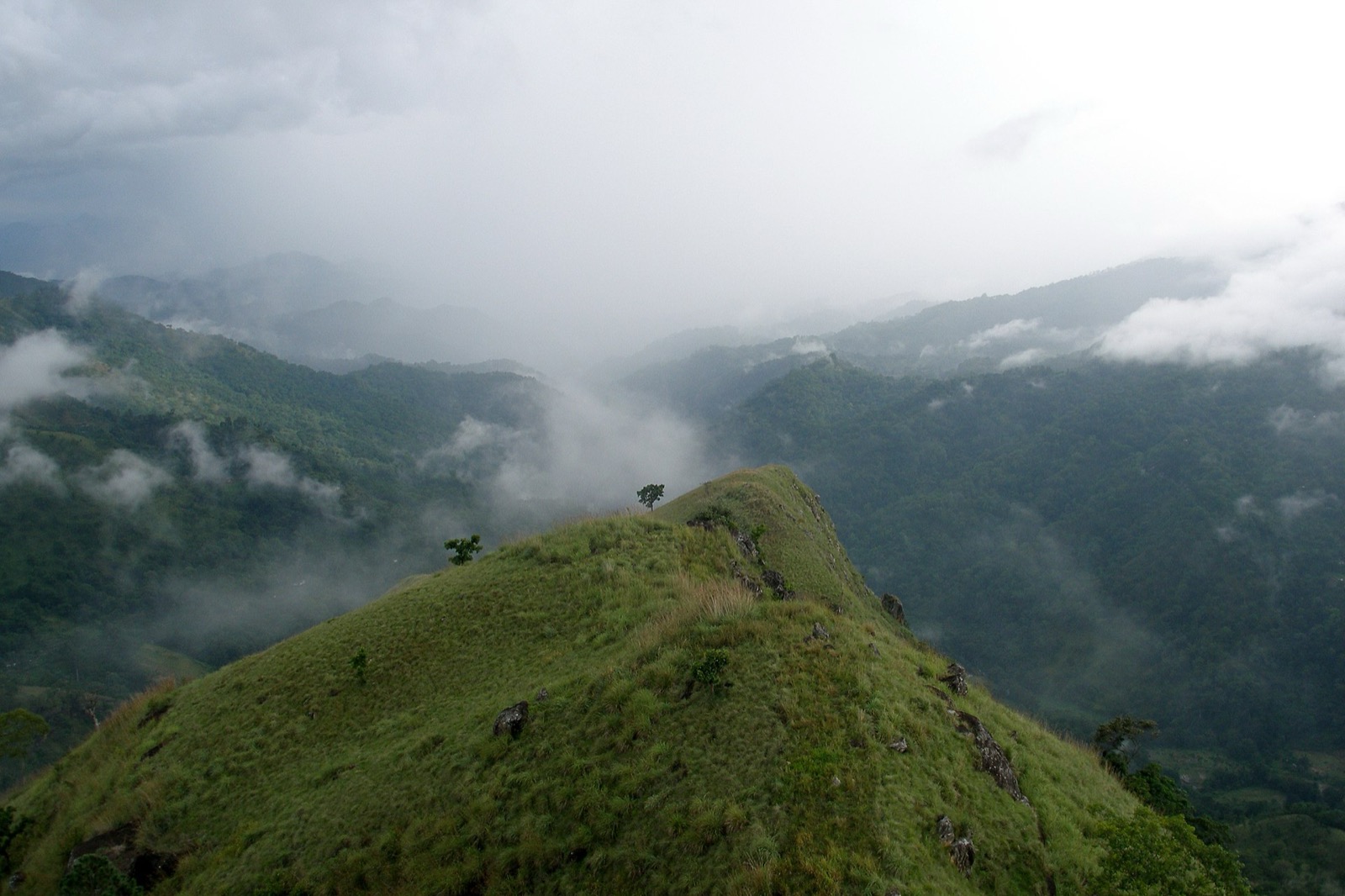 Rural landscape in Sri Lanka