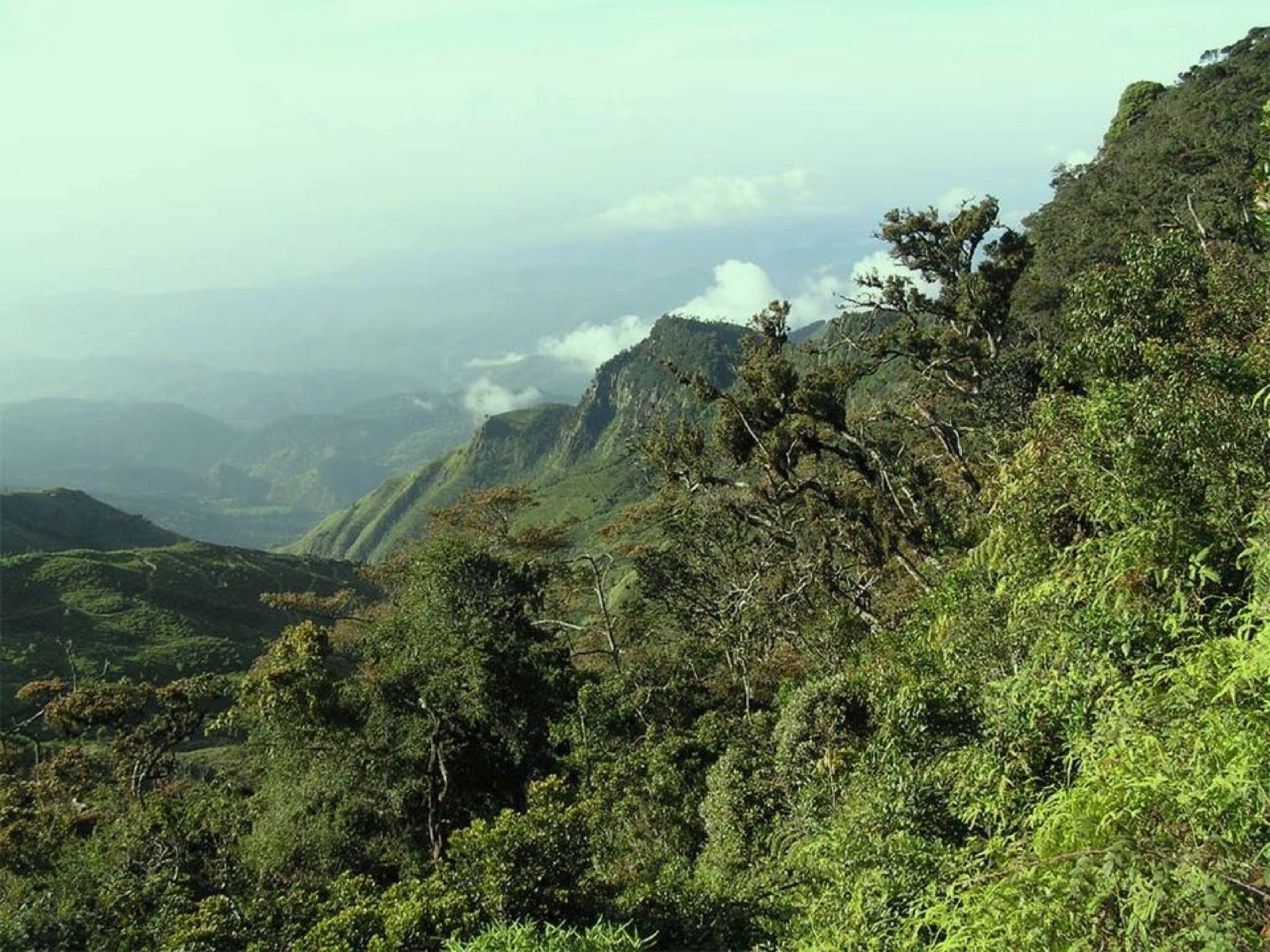Horton Plains landscape in Sri Lanka