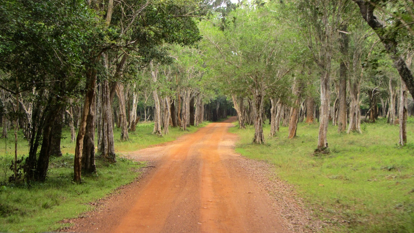Wilpattu National Park in Sri Lanka