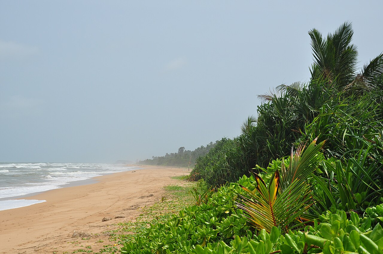 Bentota beach with tropical greenery